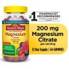 Nature Made High Absorption Magnesium Citrate 200 mg Gummies; 64 Count